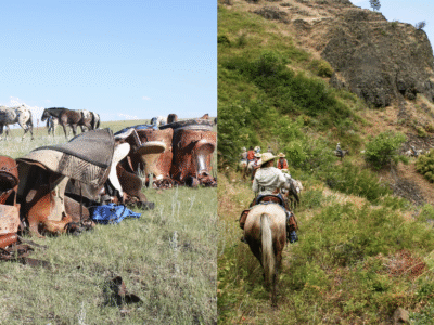 Chief Joseph Trail Ride: